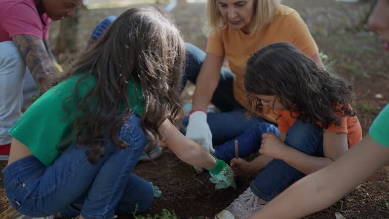 How Our Tree Care Process Works  in  Lampasas, TX